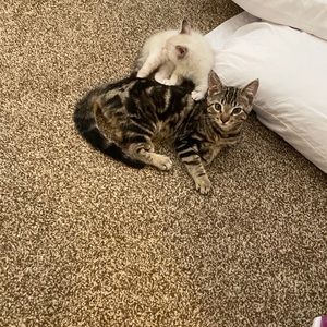 Meet your Posher, Michael